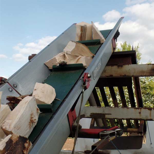 Wood cutter auto belt lift cut logs