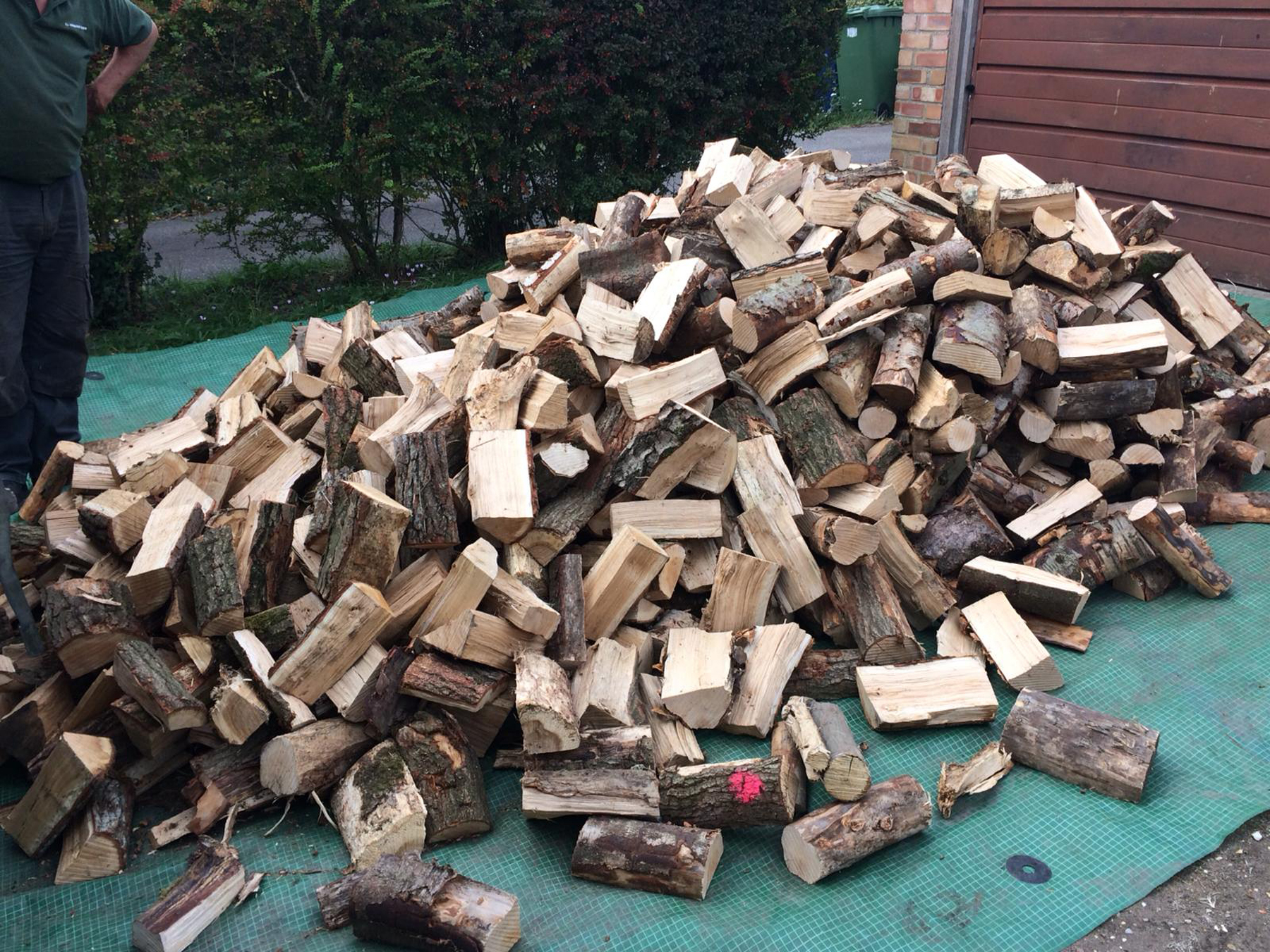 Delivery load of cut logs Cambridgeshire HD