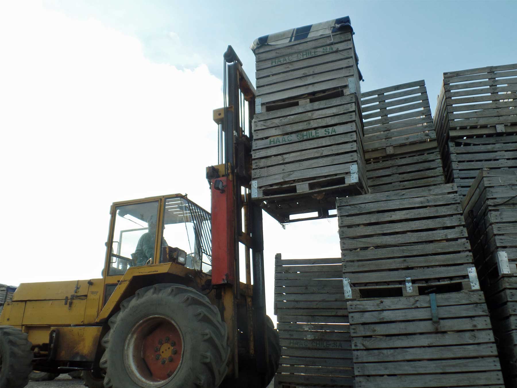Forklift stack log loads boxes HD